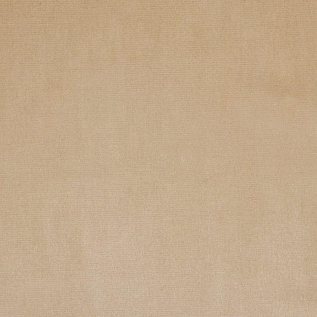 Pale Gold Home Decor Velvet