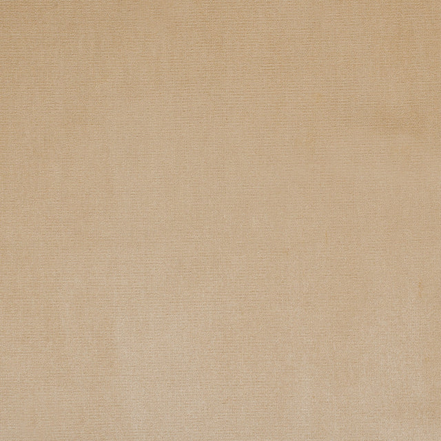 Pale Gold Home Decor Velvet