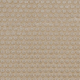 Warm Beige Dotted Cut Velvet