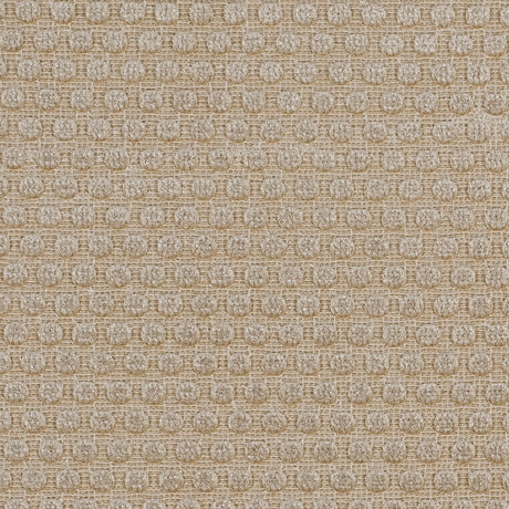 Warm Beige Dotted Cut Velvet