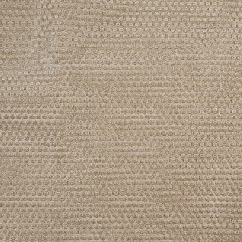 Warm Beige Dotted Cut Velvet