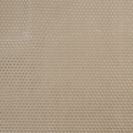 Warm Beige Dotted Cut Velvet