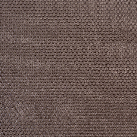 Ginger Snap Dotted Cut Velvet