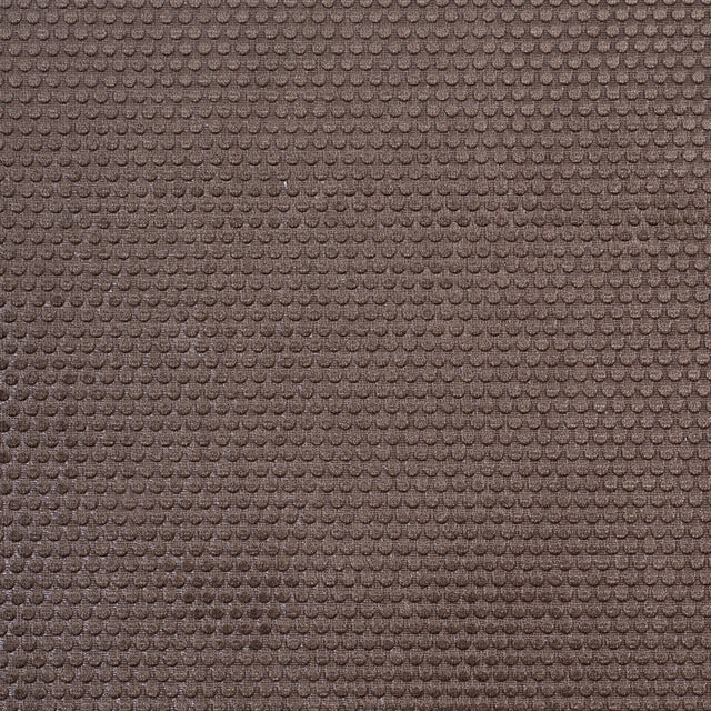 Ginger Snap Dotted Cut Velvet