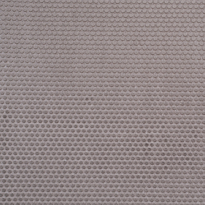 Taupe Dotted Cut Velvet