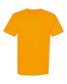 Champion T425 Unisex Classic T-Shirt