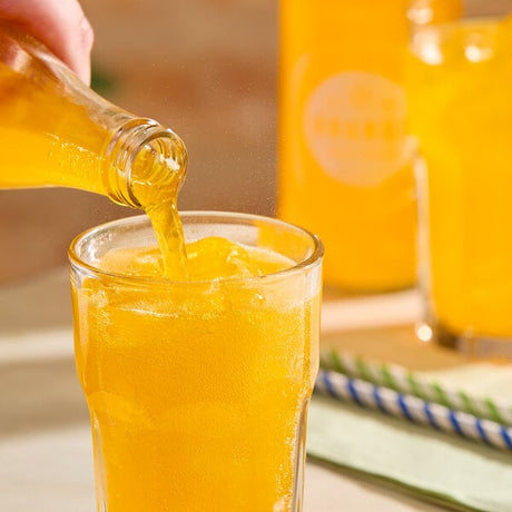 Boylan Bottling Co. Orange Soda 12 fl. oz. - 24/Case