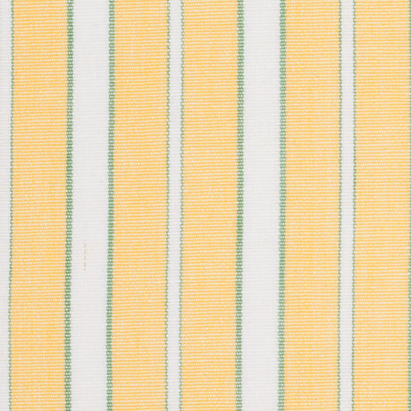 Impala Green and White Striped Cotton Canvas