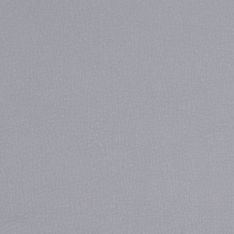 Limestone Gray Pebbled Vinyl