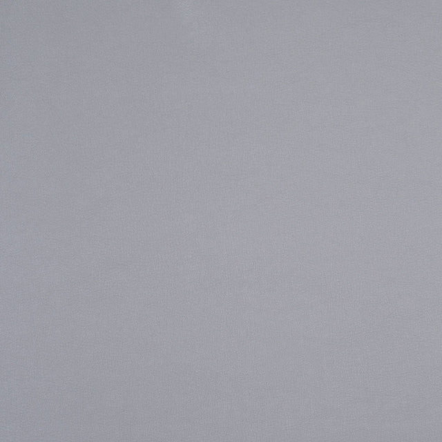Limestone Gray Pebbled Vinyl