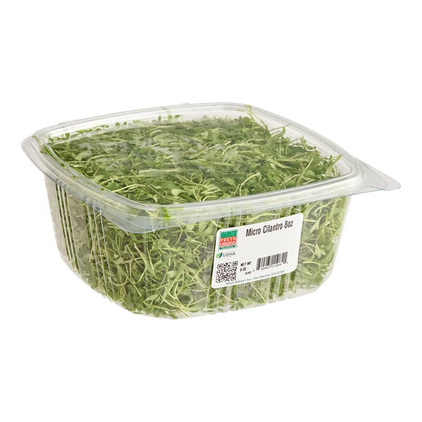 Fresh Origins Micro Cilantro 8 oz.