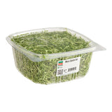 Fresh Origins Micro Cilantro 8 oz.