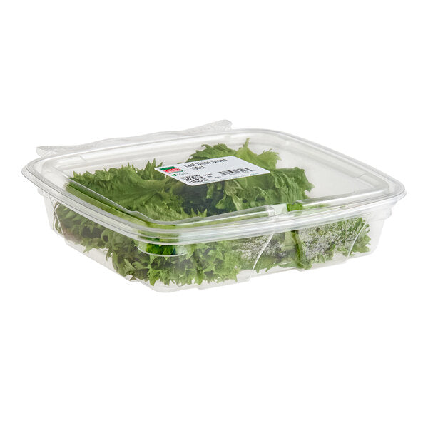 Fresh Origins Green Shiso Leaf - 100/Case