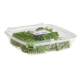 Fresh Origins Green Shiso Leaf - 100/Case