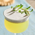 Fresh Origins Micro Cilantro 8 oz.