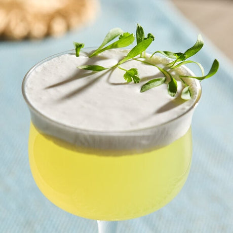 Fresh Origins Micro Cilantro 8 oz.