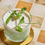 Fresh Origins Petite Pea with Tendril 8 oz.