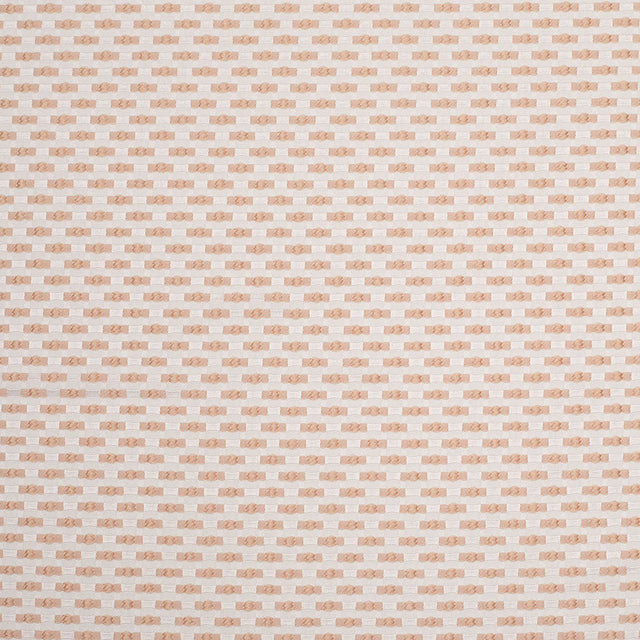 Beige on Ivory Polka Dotted Polyester Jacquard