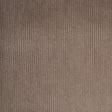 Gray Ribbed Velvet