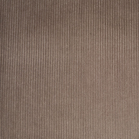 Gray Ribbed Velvet