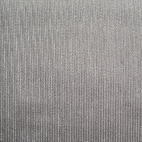 Gray Ribbed Velvet