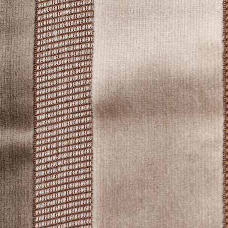 Brown/Gray Striped Velvet