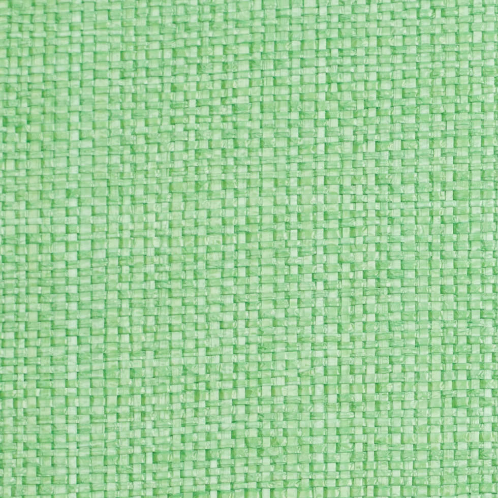 Italian Grass Green Raffia-Like Novelty Woven