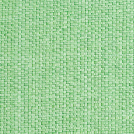 Italian Grass Green Raffia-Like Novelty Woven