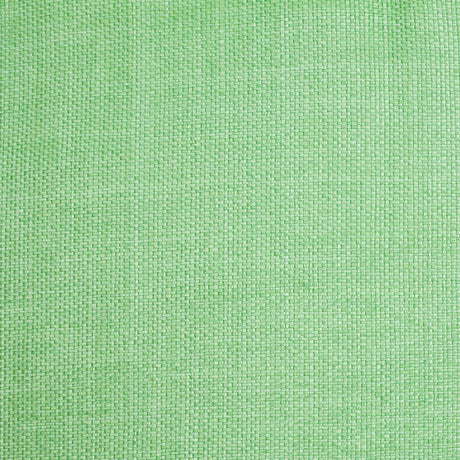 Italian Grass Green Raffia-Like Novelty Woven