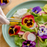 Fresh Origins Pansy Edible Flowers - 50/Case