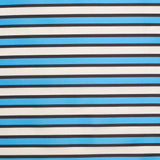 Poly-Cotton Organza/Organdy by Tanya Taylor - Blue Striped