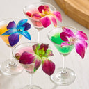 Fresh Origins Multi-Colored Decorative Edible Orchids - 100/Case
