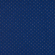 Polyester Athletic Mesh - Royal Blue 100 Denier