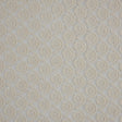 Famous NYC Designer Off-White Scalloped Lace on Netting