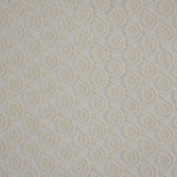 Famous NYC Designer Off-White Scalloped Lace on Netting