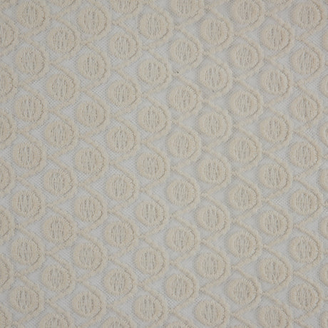 Famous NYC Designer Off-White Scalloped Lace on Netting