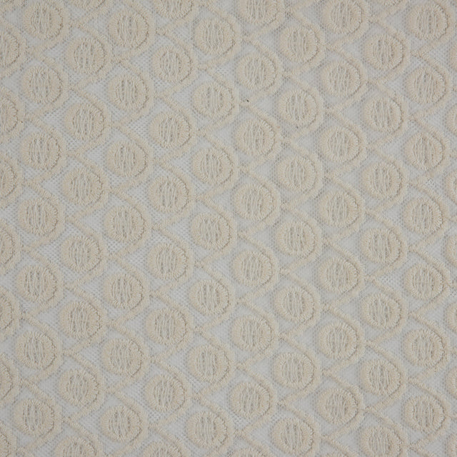 Famous NYC Designer Off-White Scalloped Lace on Netting