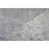 Metallic Silver/Gray Abstract Jacquard/Brocade