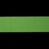 Neon Green Elastic - 3"