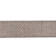 Beige and Black Woven Trim - 1.5"
