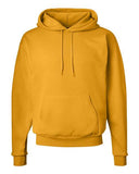 Ecosmart Hooded Sweatshirt