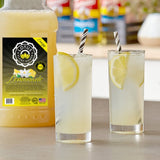 Lotus Plant Energy Lemonade Energy 5:1 Concentrate 64 fl. oz.