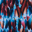 Compression Swimwear Tricot, UV Protective with Aloe Vera Microcapsules - Blue/Red Feather - Caye Collection