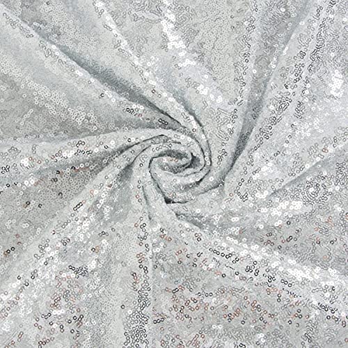 1 Yard Shimmering Sequin Fabric Stretch Mesh 54 Inch Width for Dresses & Decor