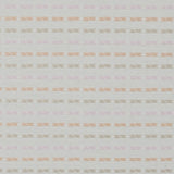 Embroidered Stripes on an Ivory Cotton Woven