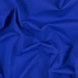 Peri Blue Stretch Eclon Jersey