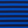 Electric Blue Awning Striped Stretch Eclon Jersey