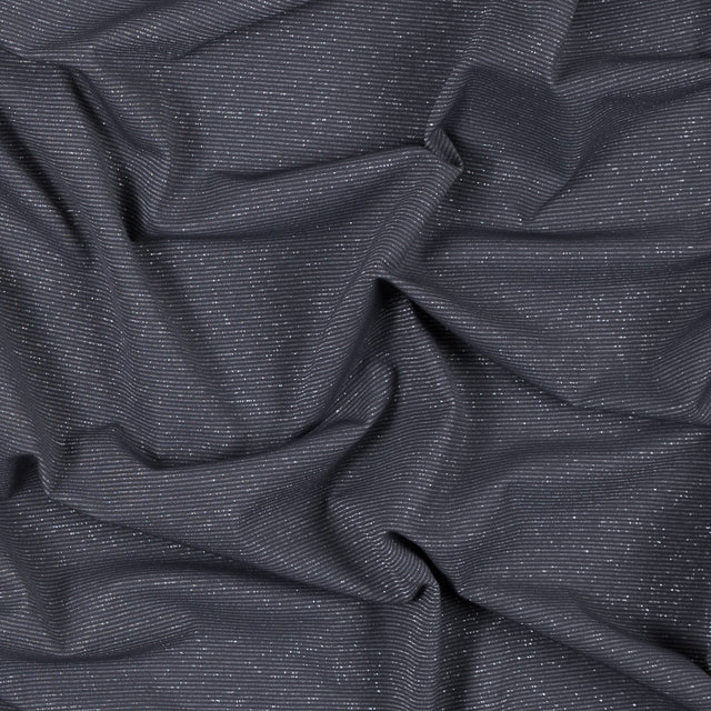 Gray and Metallic Silver Striped Stretch Nylon Jersey