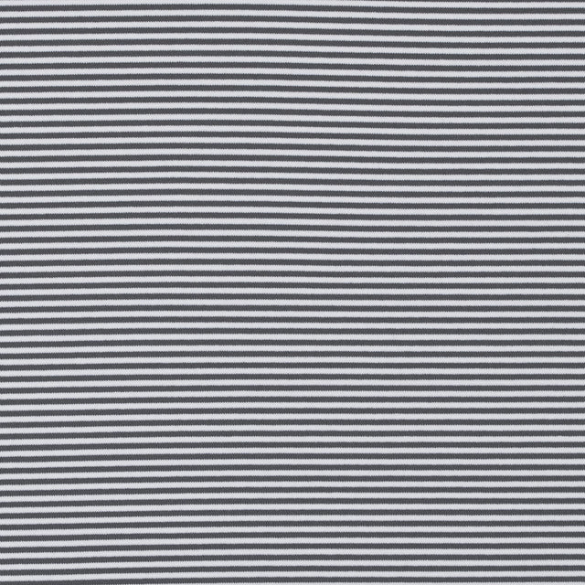 Gray and White Candy Striped Stretch Eclon Jersey