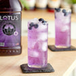 Lotus Plant Power Purple Lotus 5:1 Energy Concentrate 64 fl. oz. - 6/Case